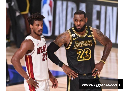 NBA总决赛回顾：湖人对阵热火，数据全面解析